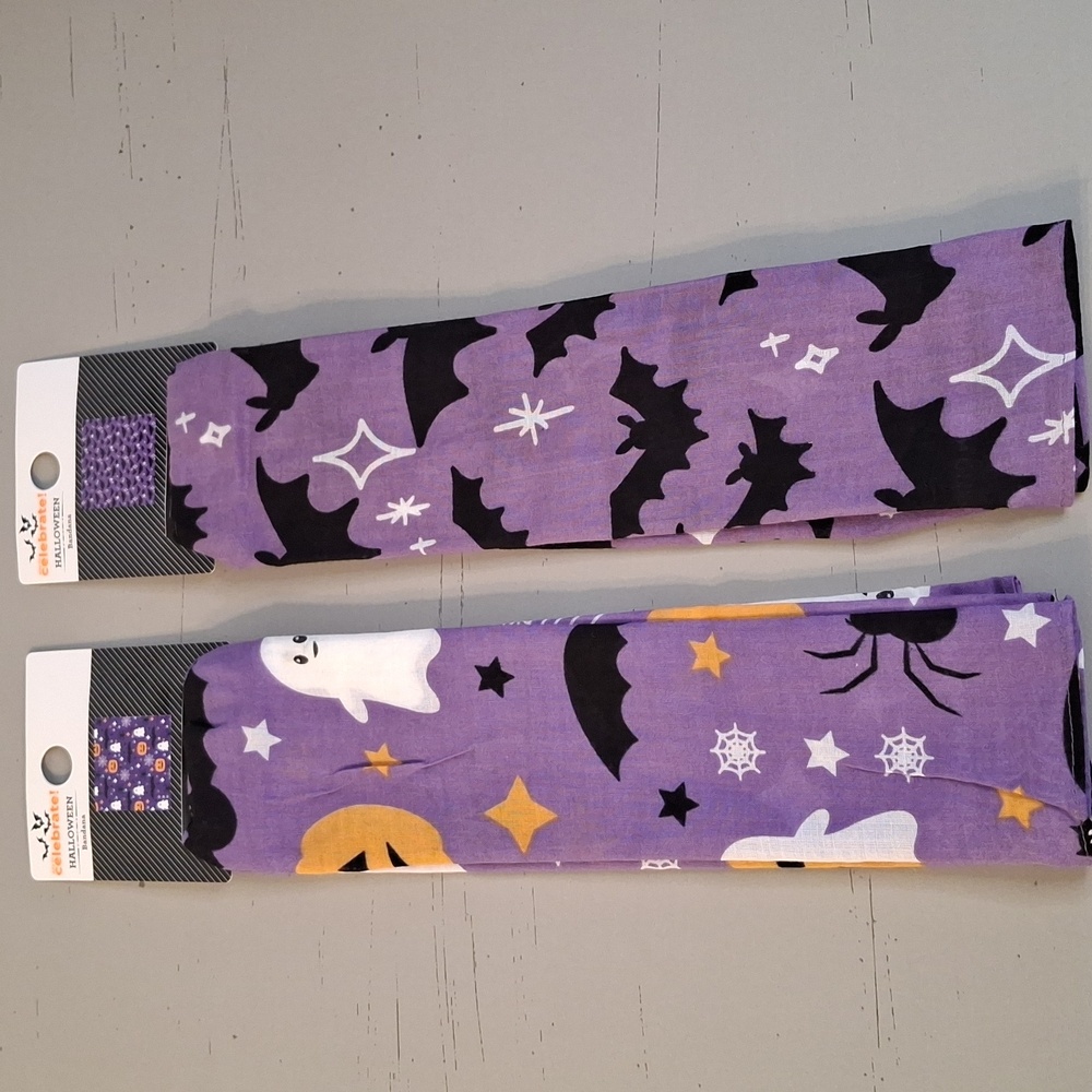 Halloween Earrings & Bandana Set - Picture 4 of 5